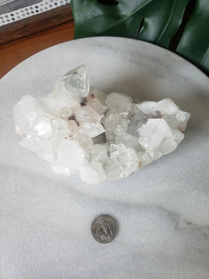 Diamond Apophyllite Cluster #1